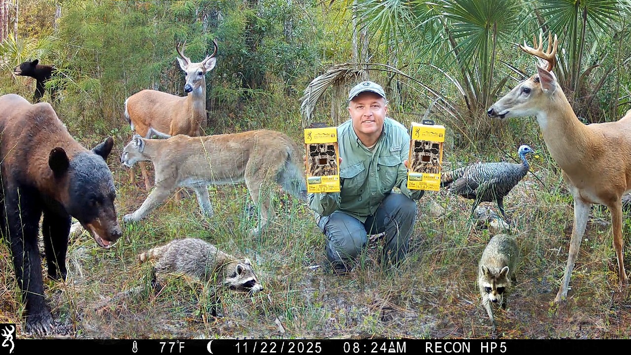 Tim Harrell - Browning Recon Force Elite HP5 Trail Camera Pickup