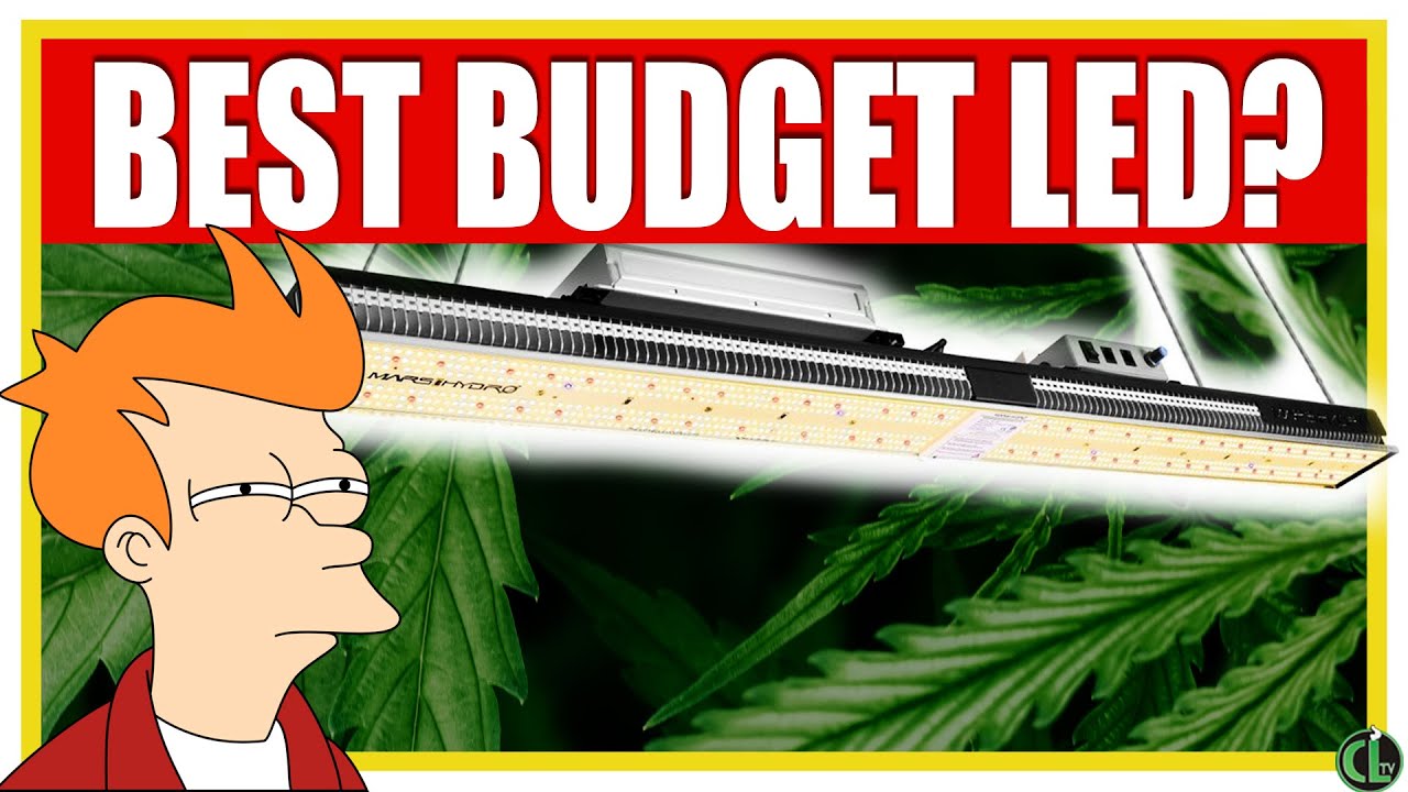 Is This the BEST BUDGET LED GROW LIGHT For Growing Cannabis? [MARS HYDRO SP-3000]