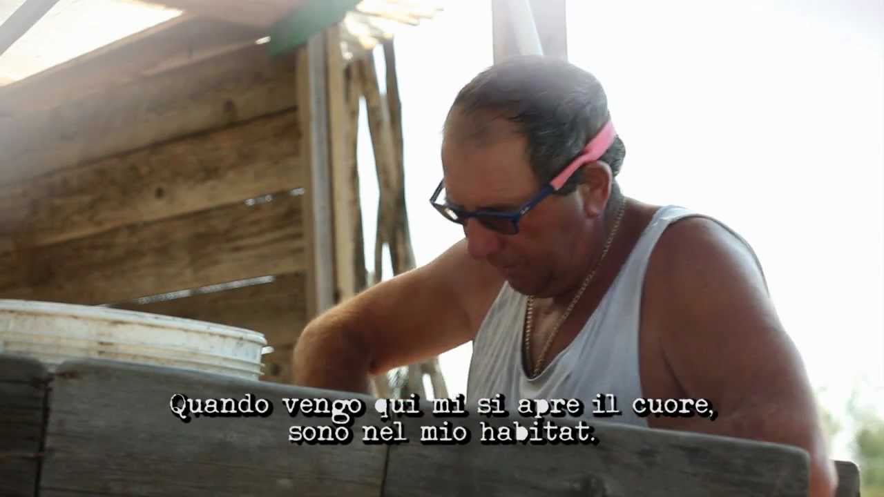 Promo | Lagunemine