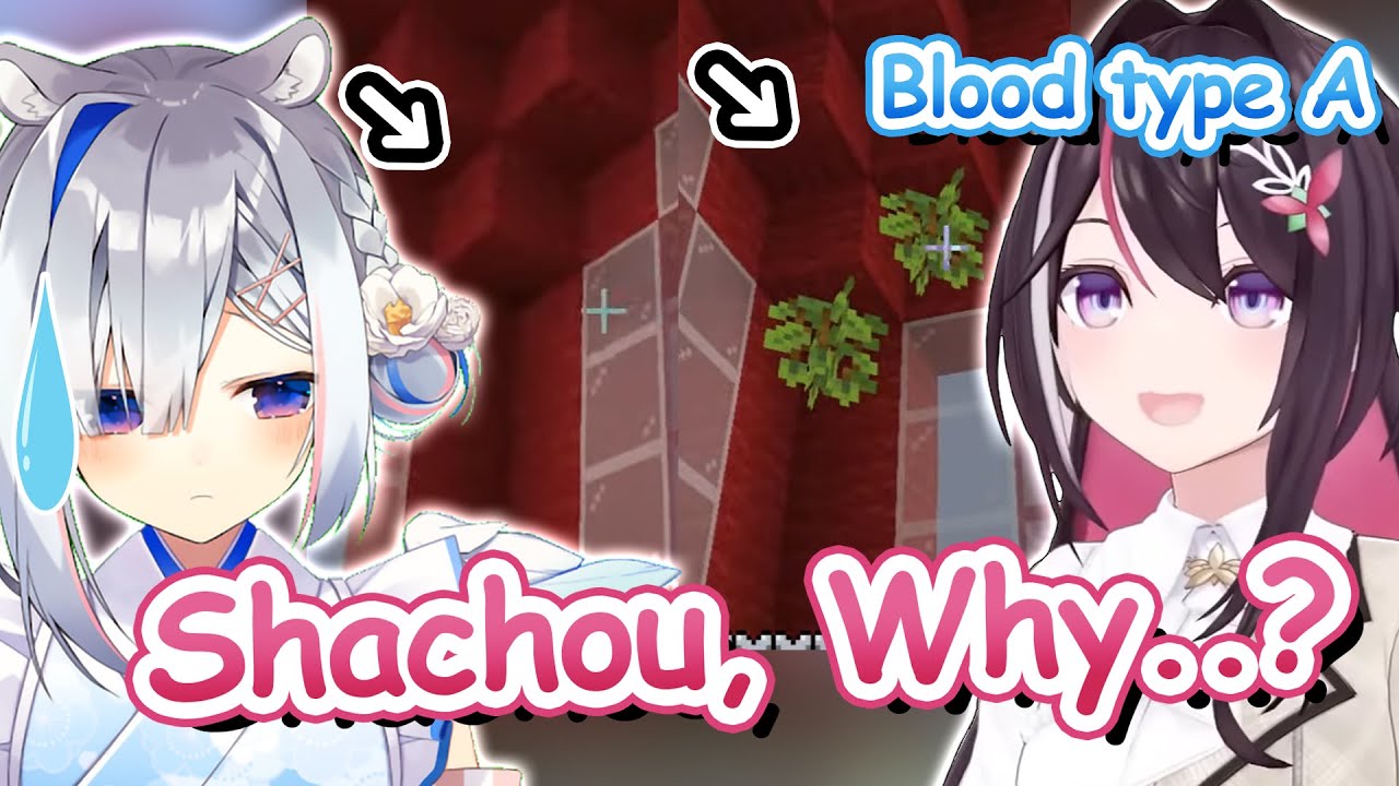 AZKi Got Confused About Why Kanata Placed The Glow Berries Unevenly 【Hololive】【Eng Sub】