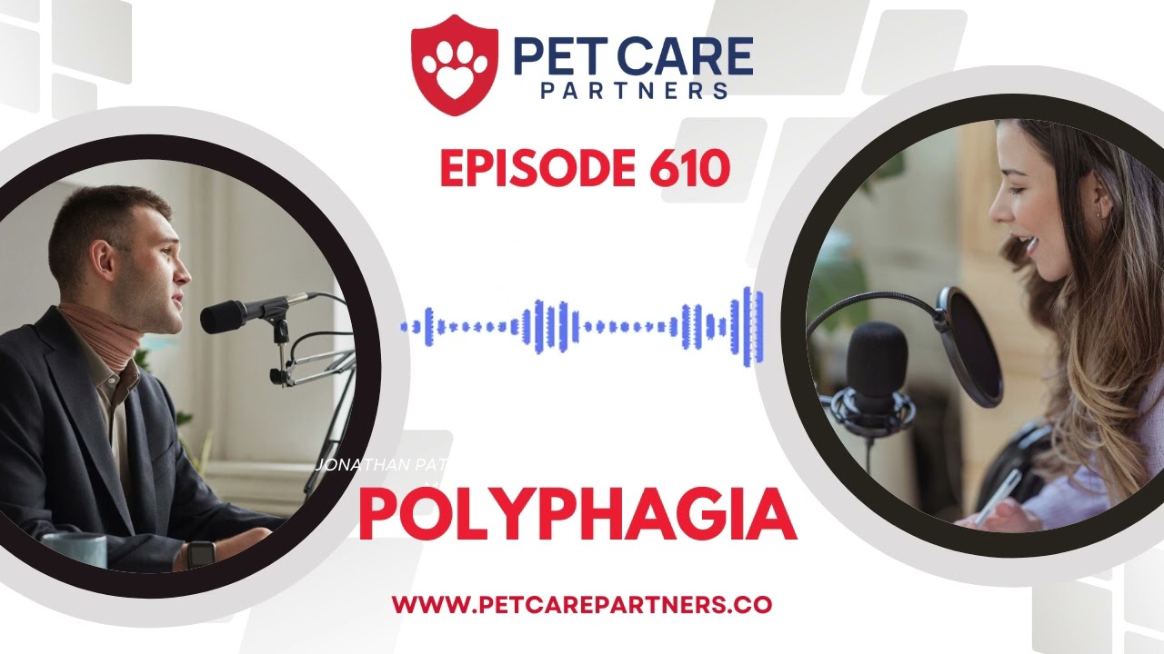 Polyphagia in Pets: Causes, Diagnosis & Treatment | Pet Care Partners Podcast Ep. 610