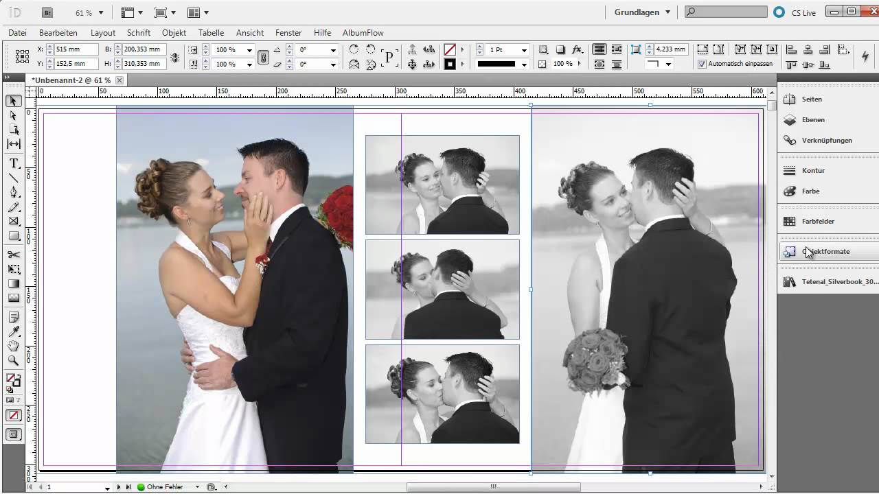 Die Zukunft des Albendesign mit InDesign - AlbumPro