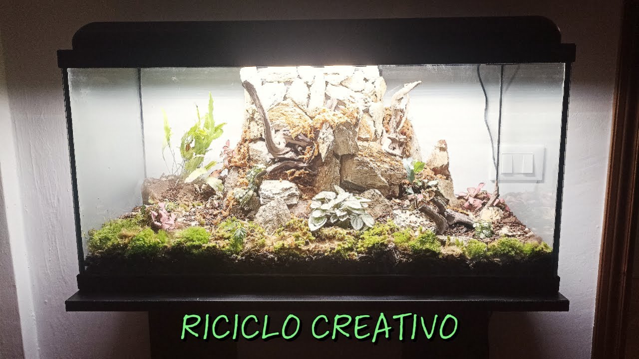 Trasformiamo un ACQUARIO in un TERRARIO