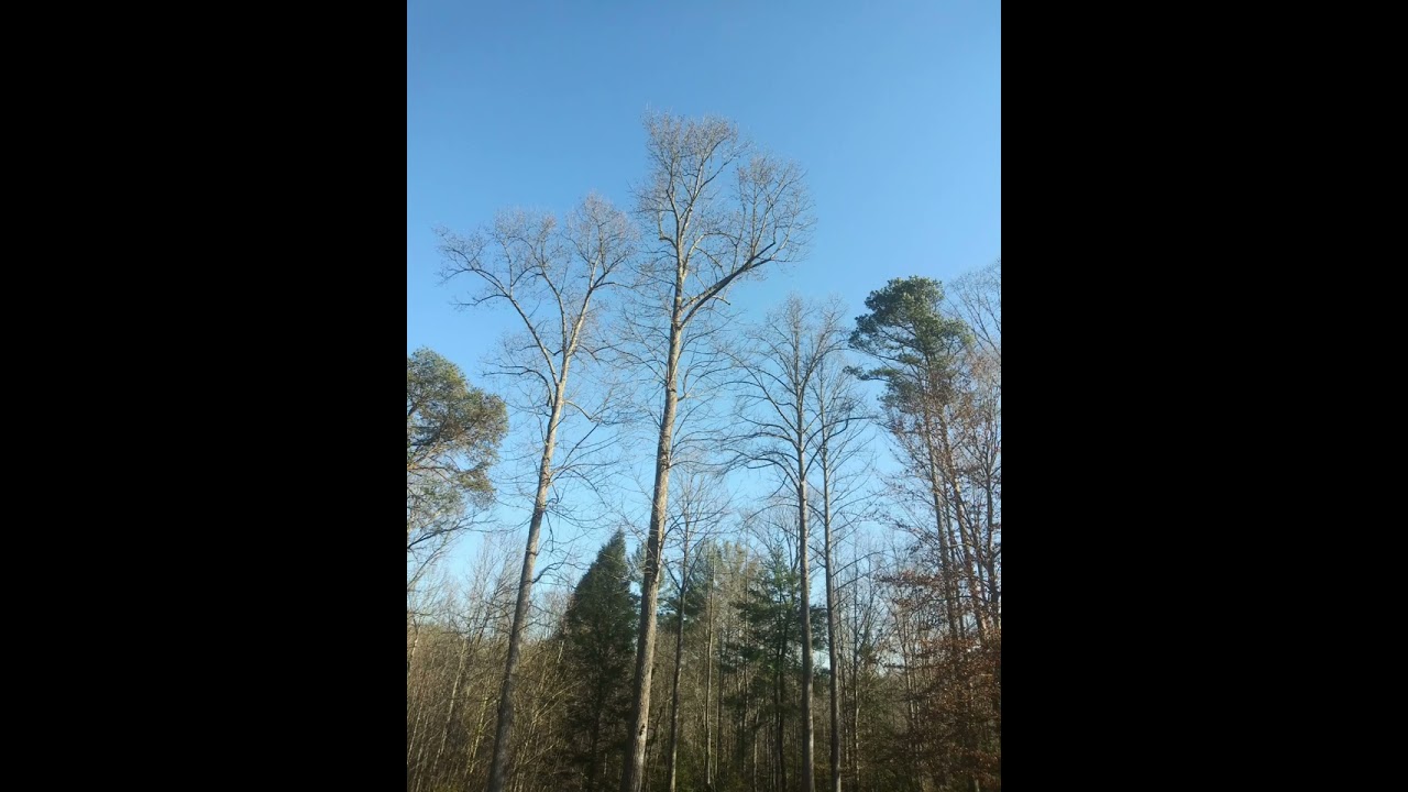 I Was Lost