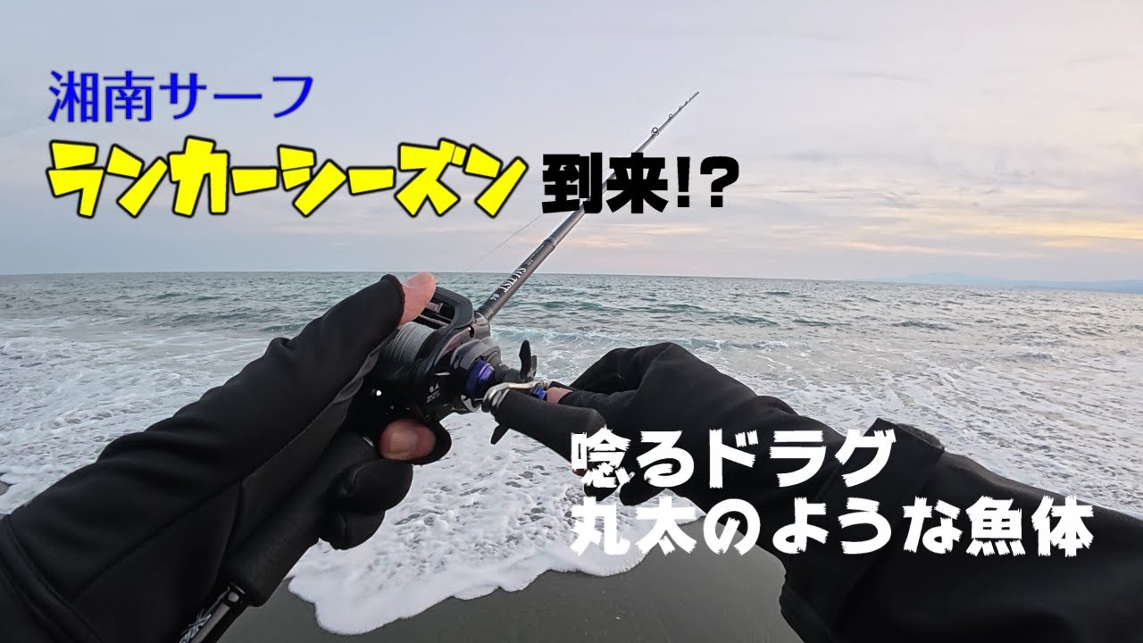 波打ち際の極太ランカーを釣る／湘南（西湘？）サーフを打ち歩く