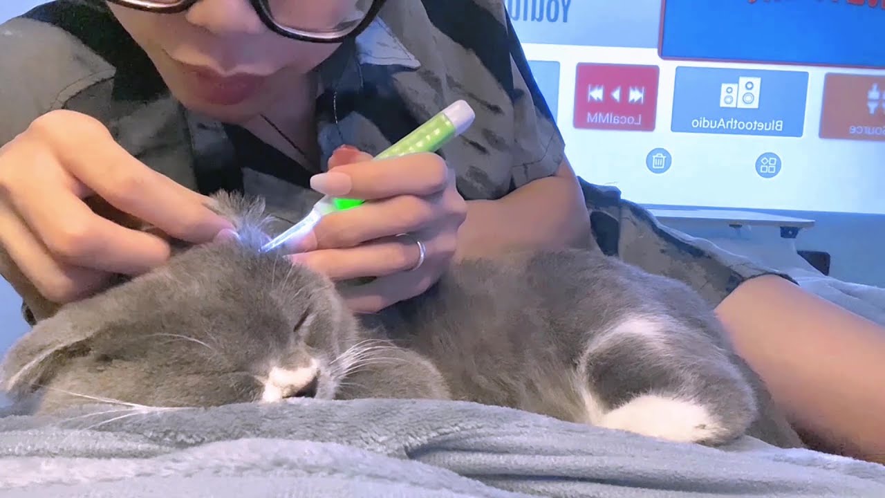 ASMR NGƯỜI ĐẸP & MÈO 😽🫧ear cleaning