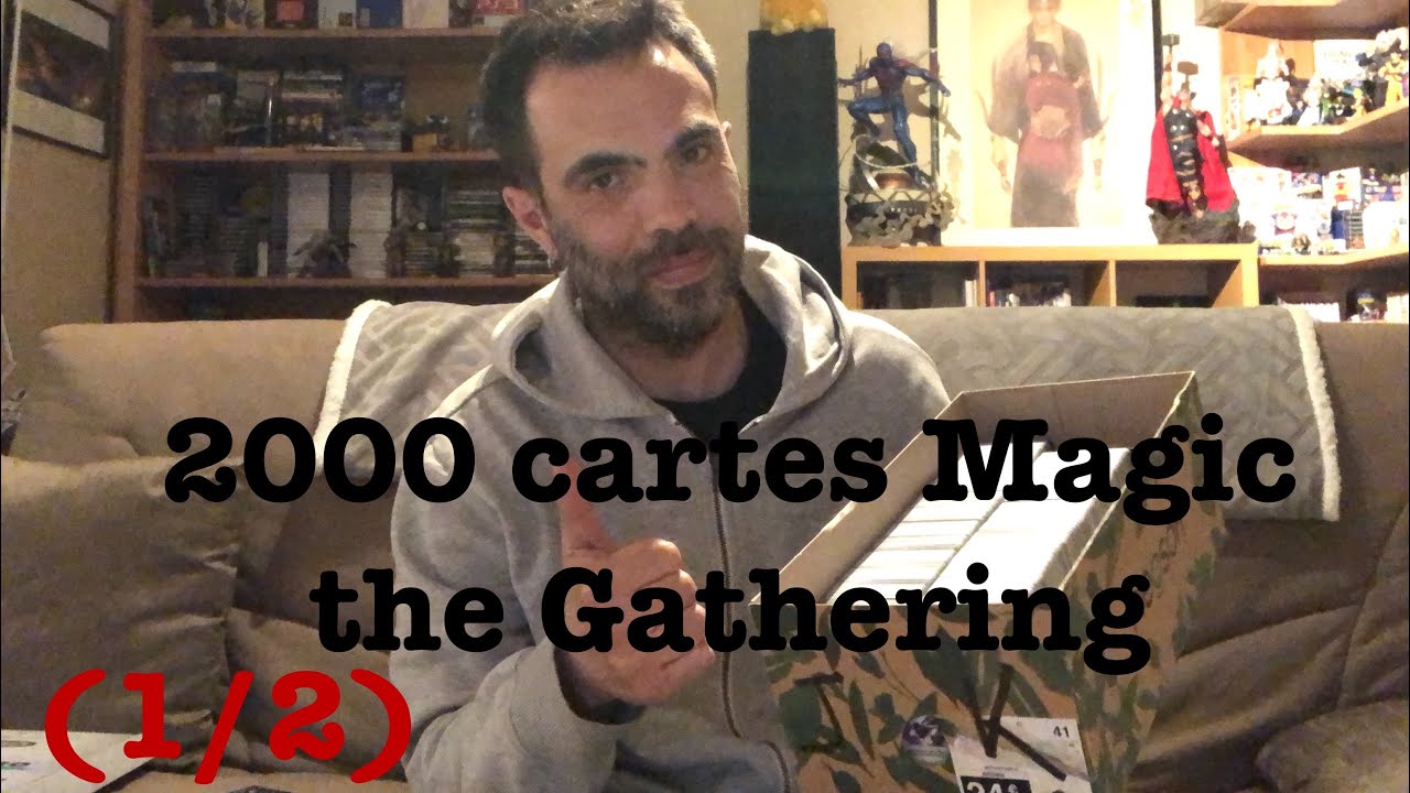 Lot 2000 cartes Magic the Gathering, achat Le Bon Coin (1/2)