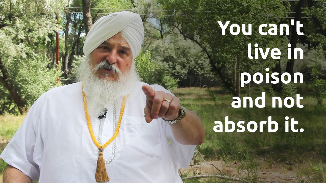 Am I Poisoning Myself? | Guruka Singh