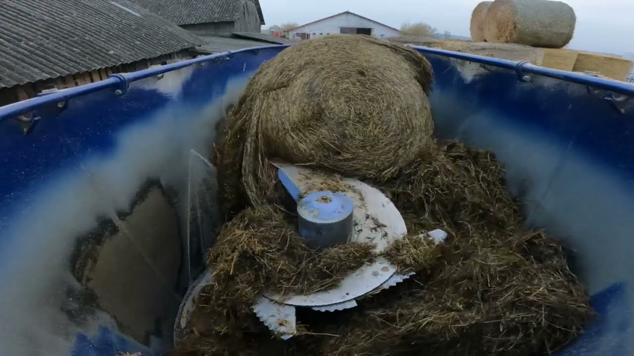 AlimaMix Evolution 14 TWIN 14m3 / paszowóz pionowy na testy 🐄 MOJA DNIÓWKA