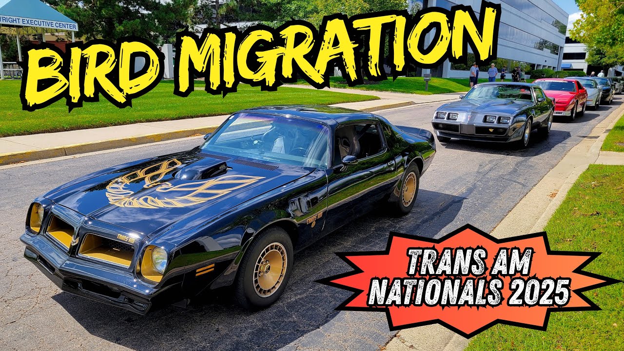 🦅 Pontiac Firebirds Flock to the 2025 40th Anniversary Trans Am Nationals Car Show in Fairborn, Ohio
