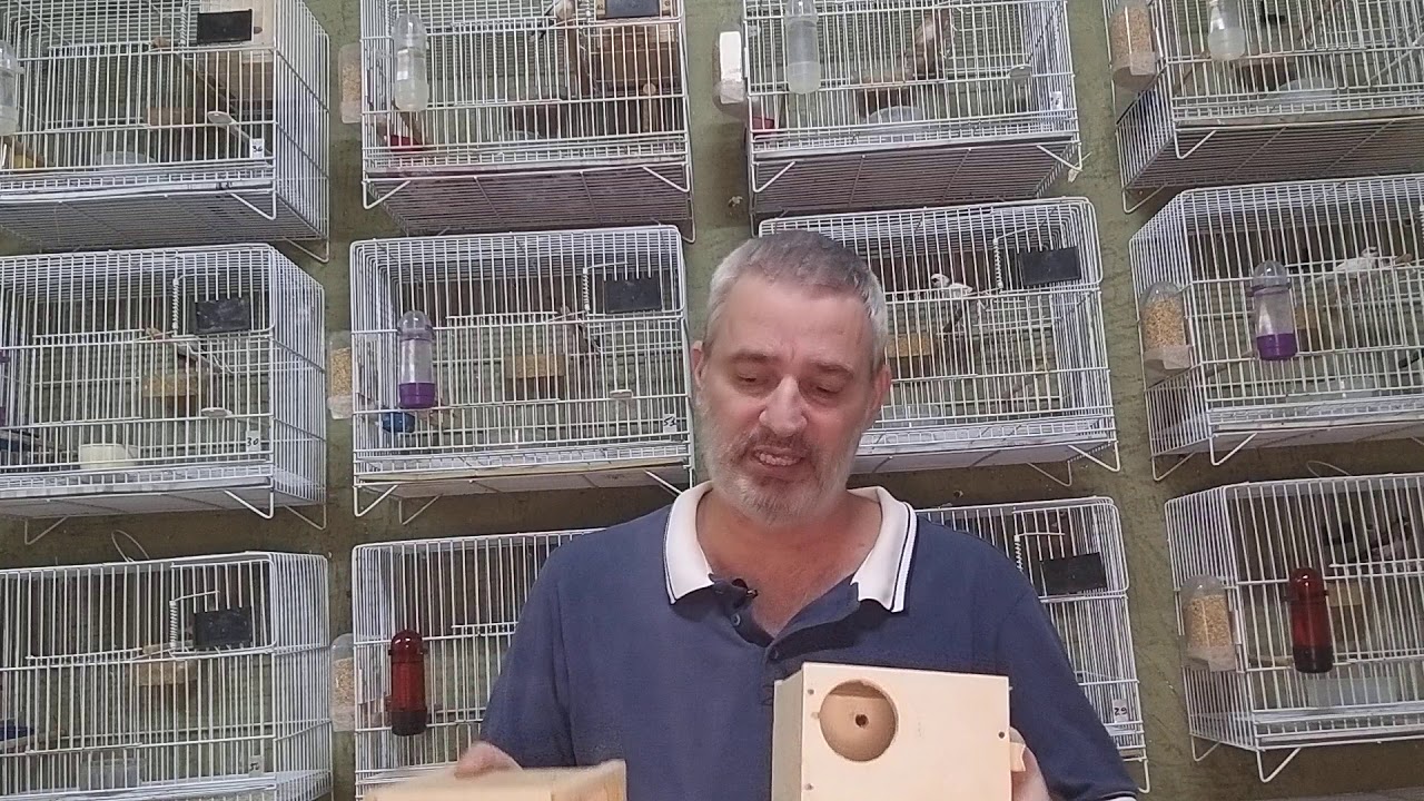 Orientações básicas para o sucesso!