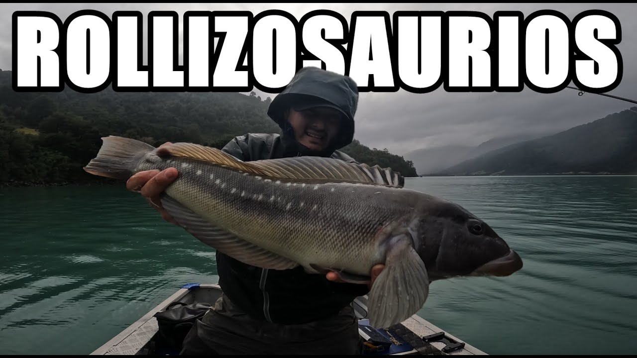 ÉPICA JORNADA de pesca de ROLLIZOS | Sur de Chile