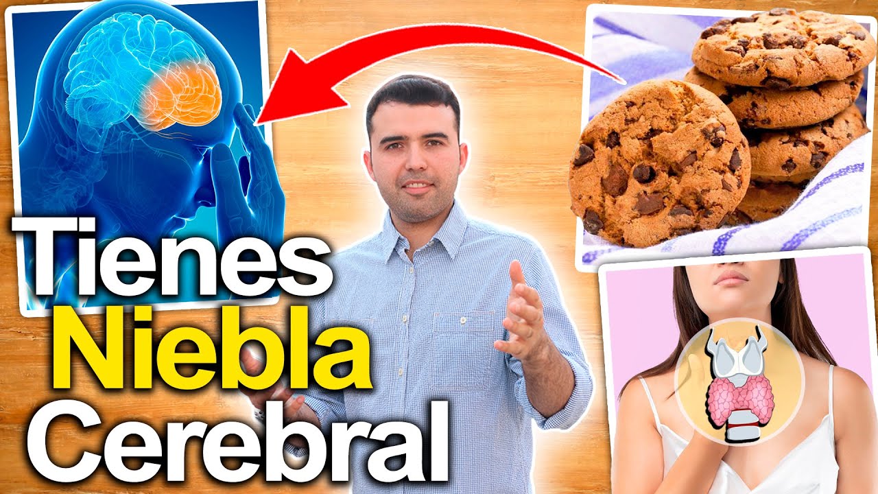Porqu&eacute; Tengo Niebla Mental? - C&oacute;mo Eliminar Los Problemas De Memoria Y Lentitud De La Mente