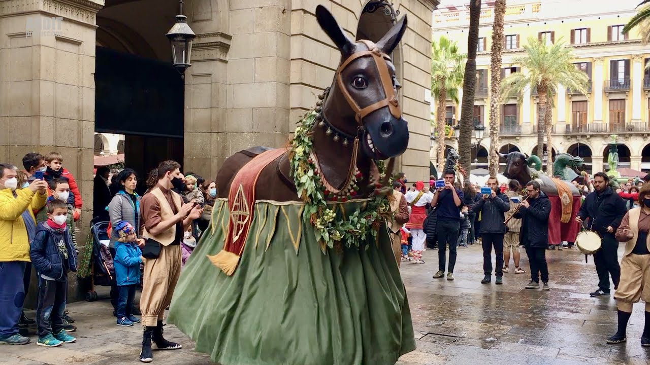 Espectacular Ball de la Mulassa de Barcelona, Seguici de Santa Eul&agrave;lia (Festes Santa Eul&agrave;lia 2022)