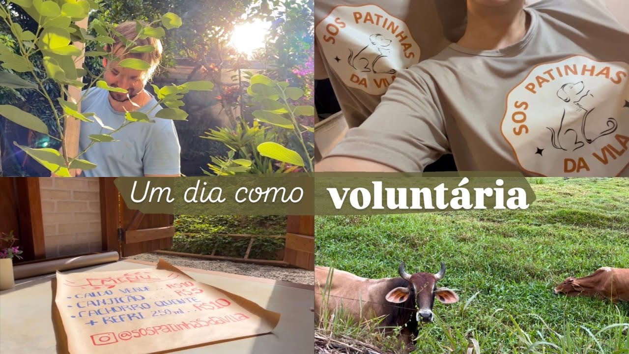 #5 Um dia como voluntária na nossa primeira feira gastronômica | SOS PATINHAS DA VILA