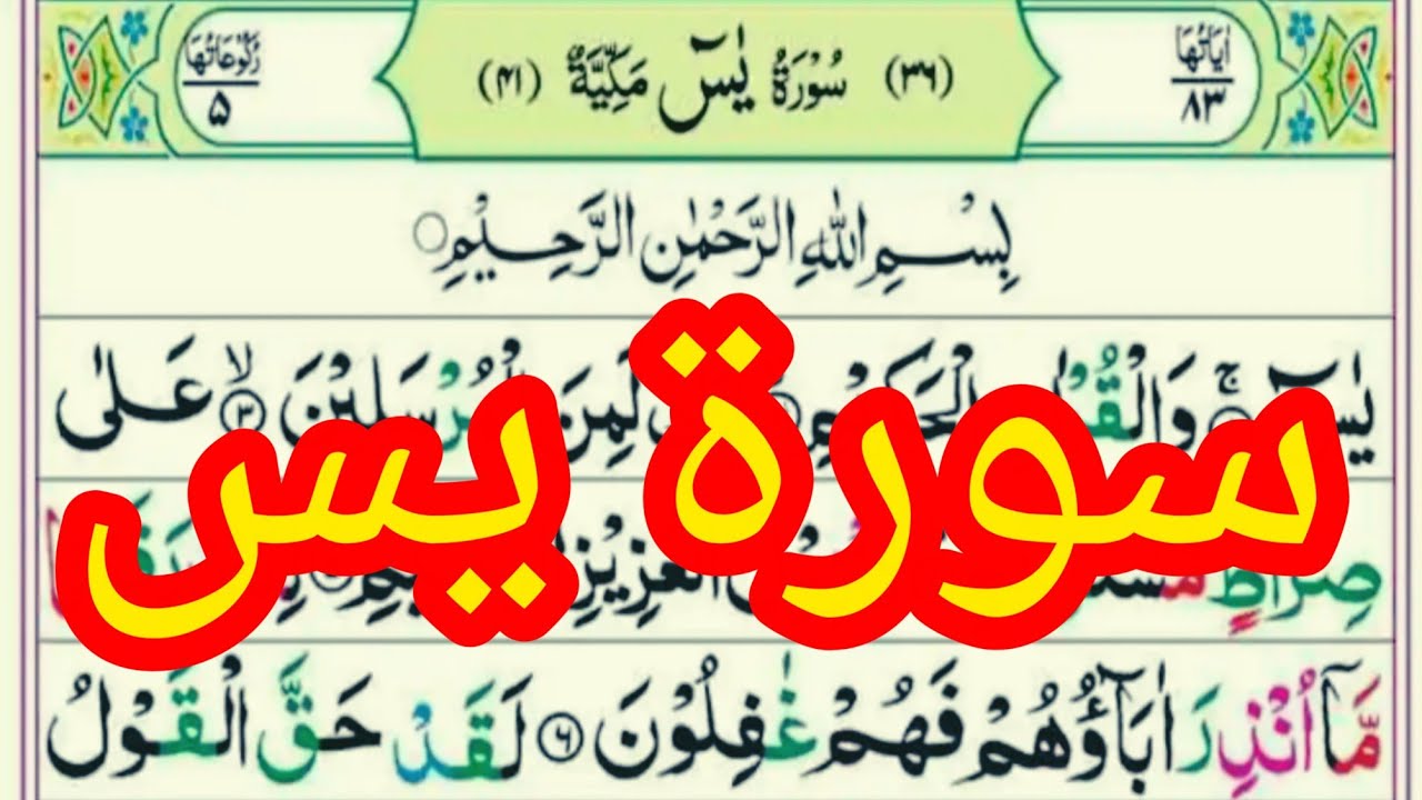 Surah Yaseen | Most Powerful Surah | Soothing Tilawat |آیات سکینہ 