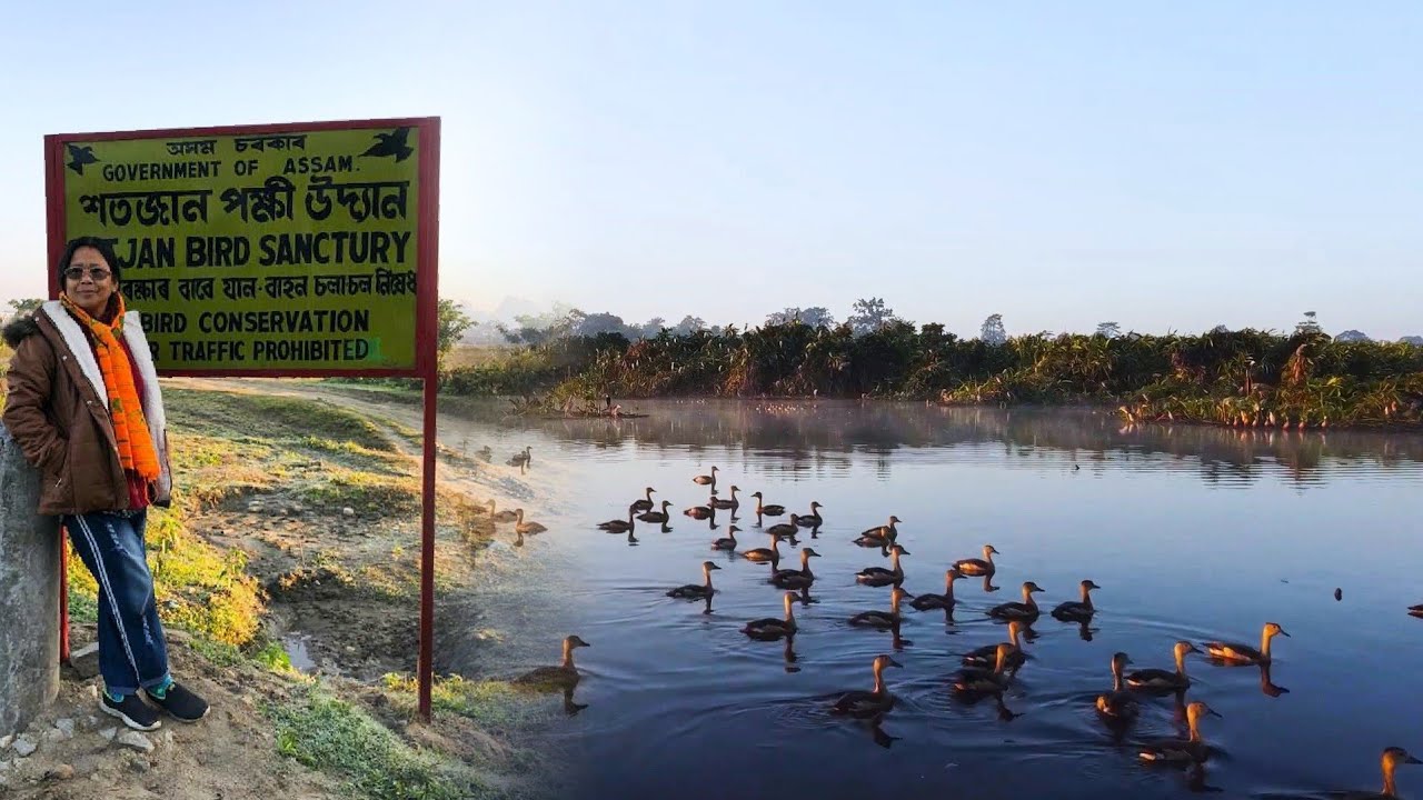 শতজান পক্ষী উদ্যান | Satajan - Bird Sanctuary | আকাশৰপৰা শতজান | North Lakhimpur Assam | Drone Shot