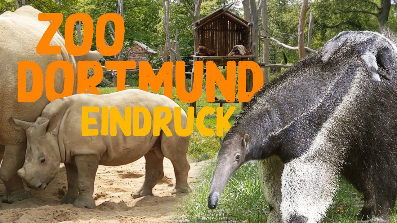 Zoo Dortmund | Zoo-Eindruck