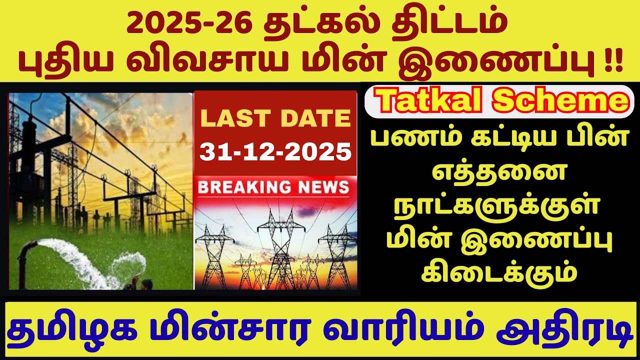 🔥எத்தனை நாளில் மின்இணைப்பு கிடைக்கும்? How many days taken for New Tatkal Connection? #தட்கல் #tneb