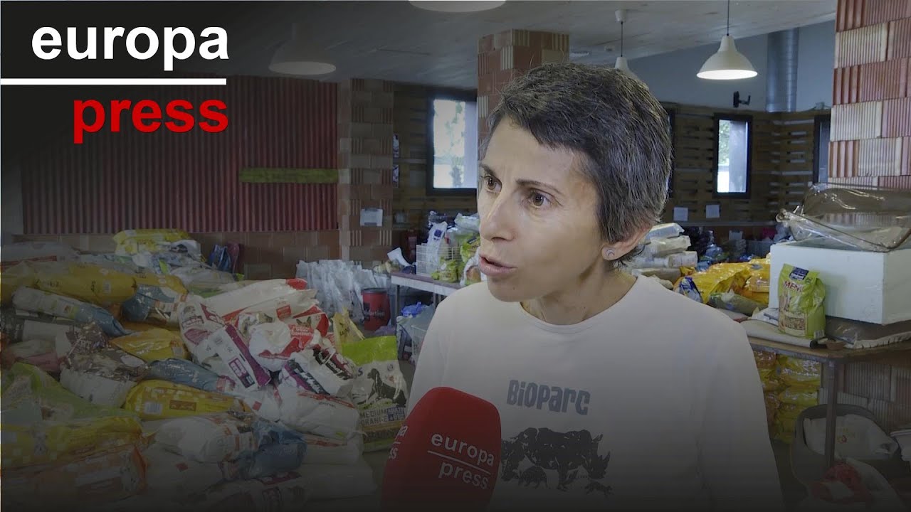 Bioparc Valencia organiza recogida de alimentos para mascotas y solicitan "comida para gatos"