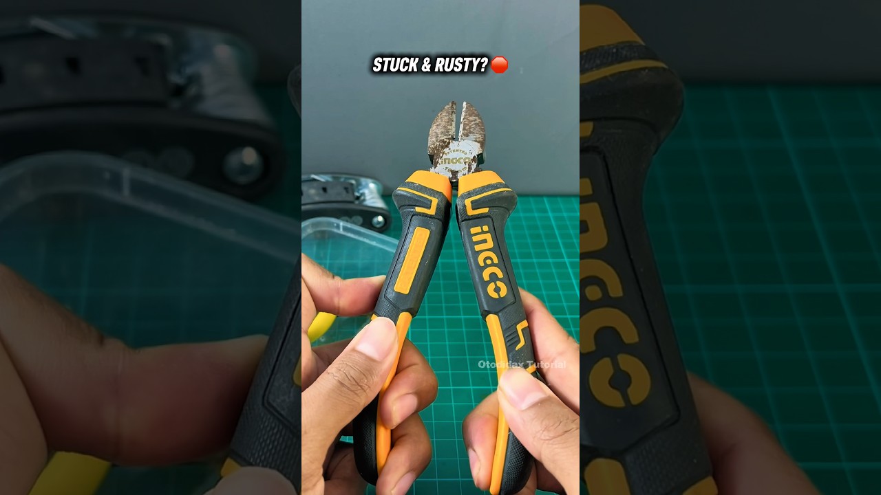 Fix Your Rusty Pliers Instantly! 🛠️ #lifehacks #diy #wd40