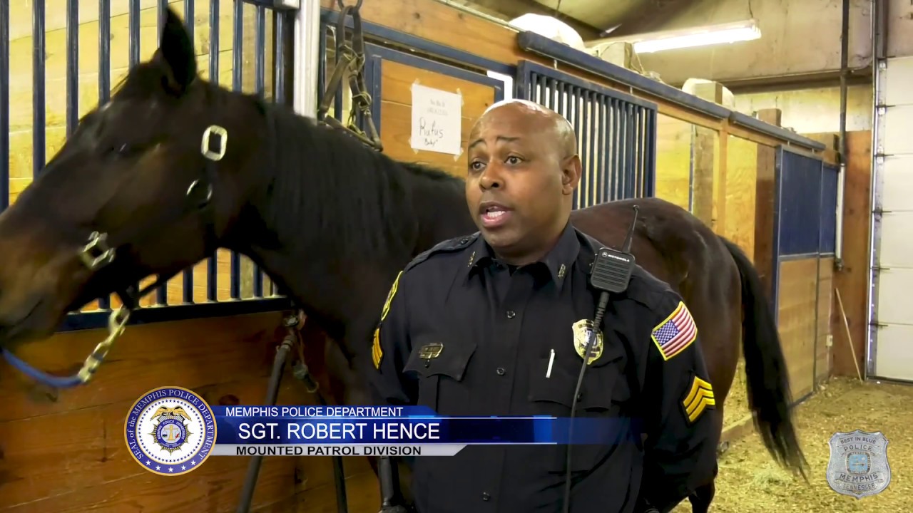 Memphis Police Department Mounted Patrol