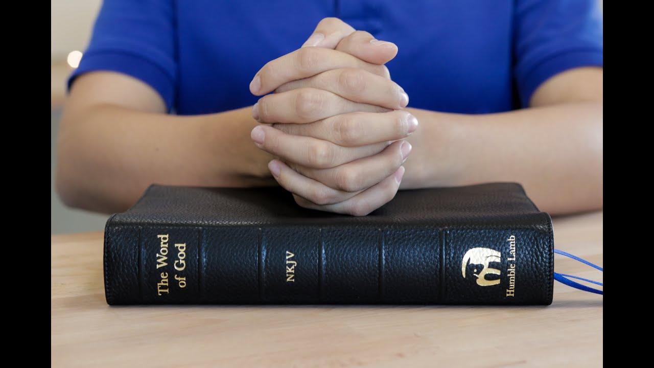 Reading and Sermon from St Peter's Elworth on 14th September 2025