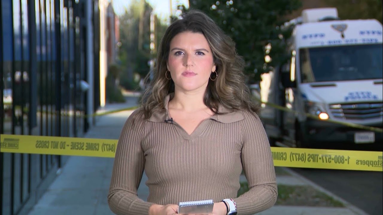 ALEXA SPECIALE NEWS REEL