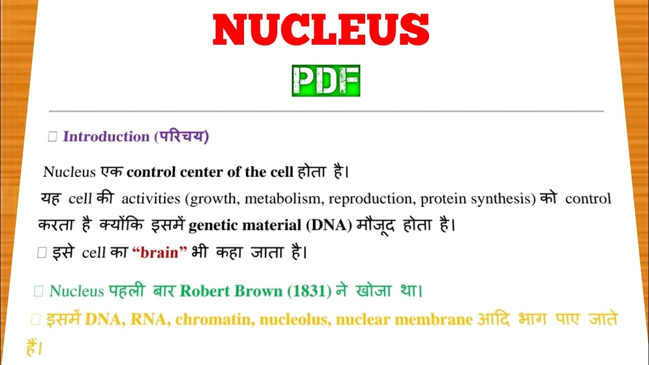 Nucleus Structure and Function in Hindi | Nucleolus | Nuclear Membrane | Necleoplam