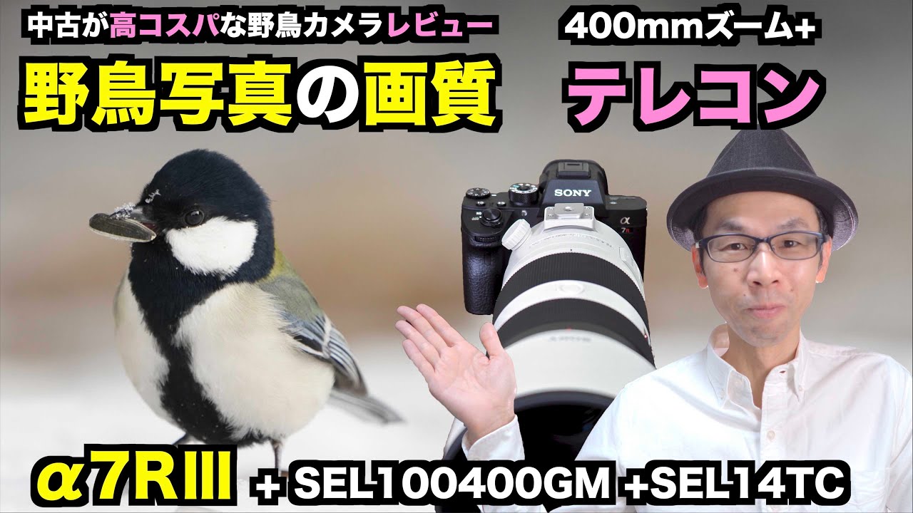 【野鳥写真/距離別作例】α7RIII ＋ SEL100400GM＋テレコン【撮影機材レビュー】#4K #高画素フルサイズセンサー #SEL14TC #560mm