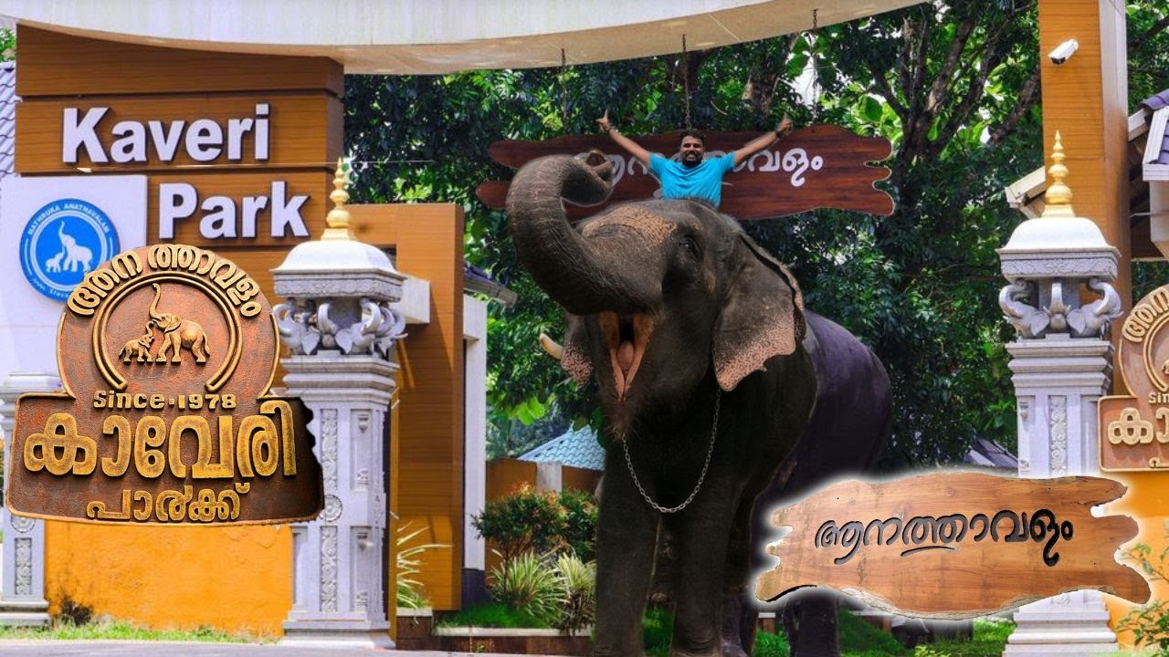 ആനപ്പുറത്ത് കയറി ആനത്താവളം കാണാം | കാവേരി പാർക്ക് | ആനത്താവളം | KAVERI ELEPHANT PARK | AANATHAVALAM