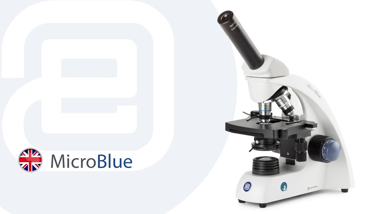 Euromex MicroBlue setup and tutorial