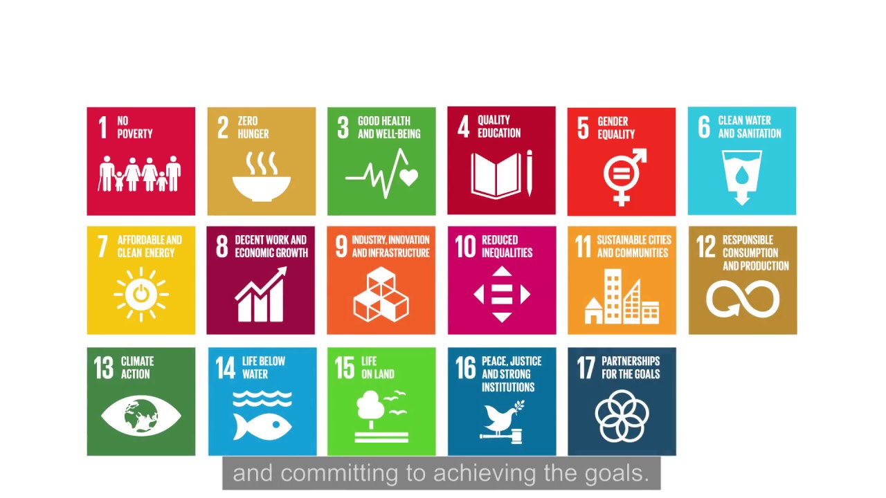 How Nonprofits Can Align to the UN Global Goals for Sustainable Development