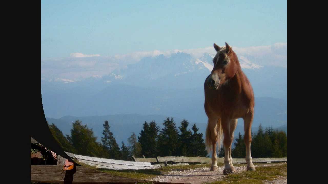 Auf der Alm da gibt's koa Sünd' (Tiroler Volkslied) - Akkordeon (Totter-midi)