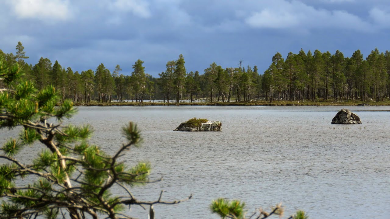 Fottur i Øvre Pasvik og Piilola, tre døgn midt i juni