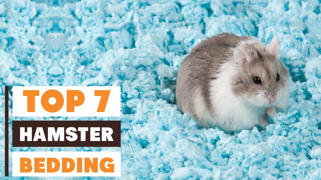 Top 7 Hamster Bedding Picks for Comfort and Cleanliness