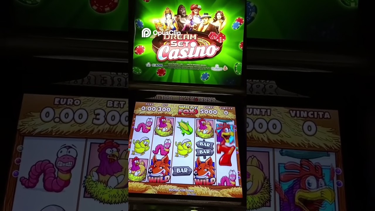 Spin and Win  Player Wins Big on Slot Machine! Bonus Round!