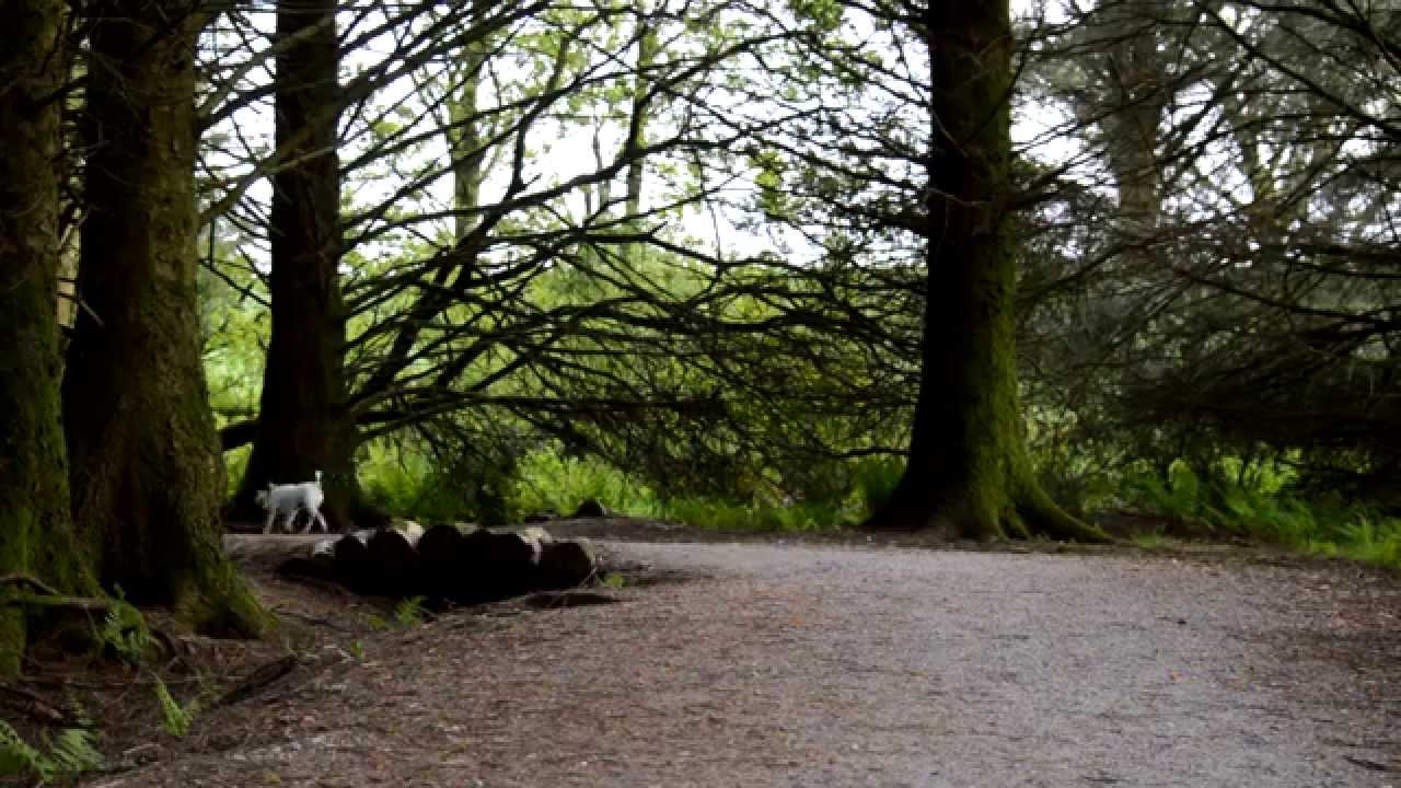 Siblyback Lake May 2014