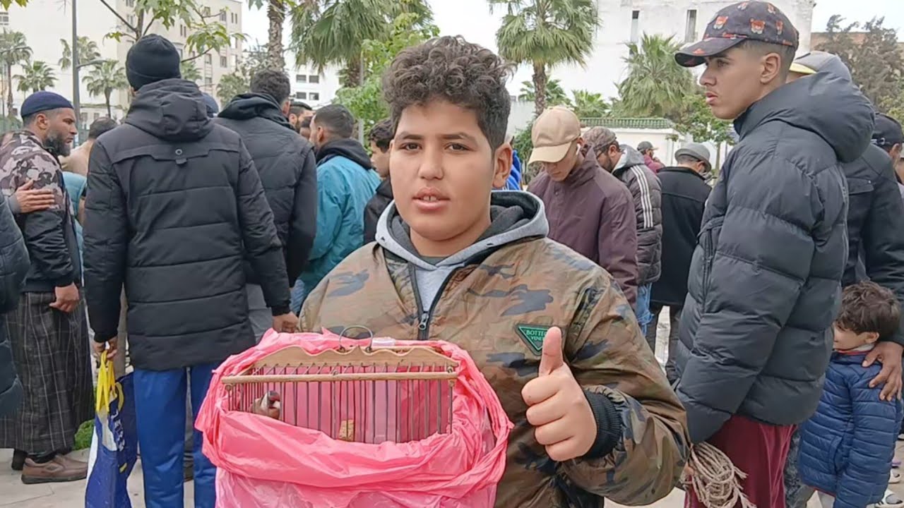 سوق القريعة للطيور يوم الاحد 15/2/2026 تعرف على اثمنة مختلف أنواع الطيور الزينة والمغردة والحسون 