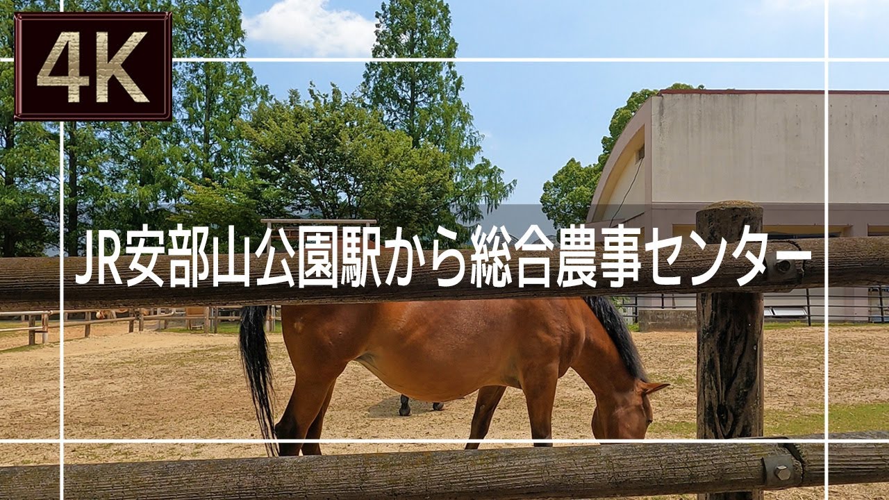 【2021年6月】JR安部山公園駅から北九州市立総合農事センターまで歩いてみた【4K】