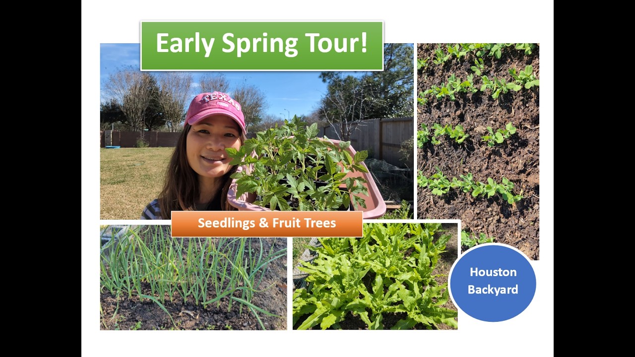 Early Spring Garden Tour 🌱 Seedlings, Freeze Update & New Fruit Trees | Houston TX