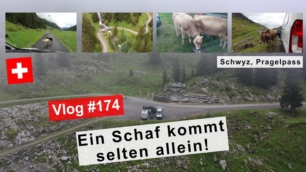 174 Schwyz mit Thomas - Vom Bisithal zum Pragelpass  mit Hindernissen | Tierischer Tag mit Besuch
