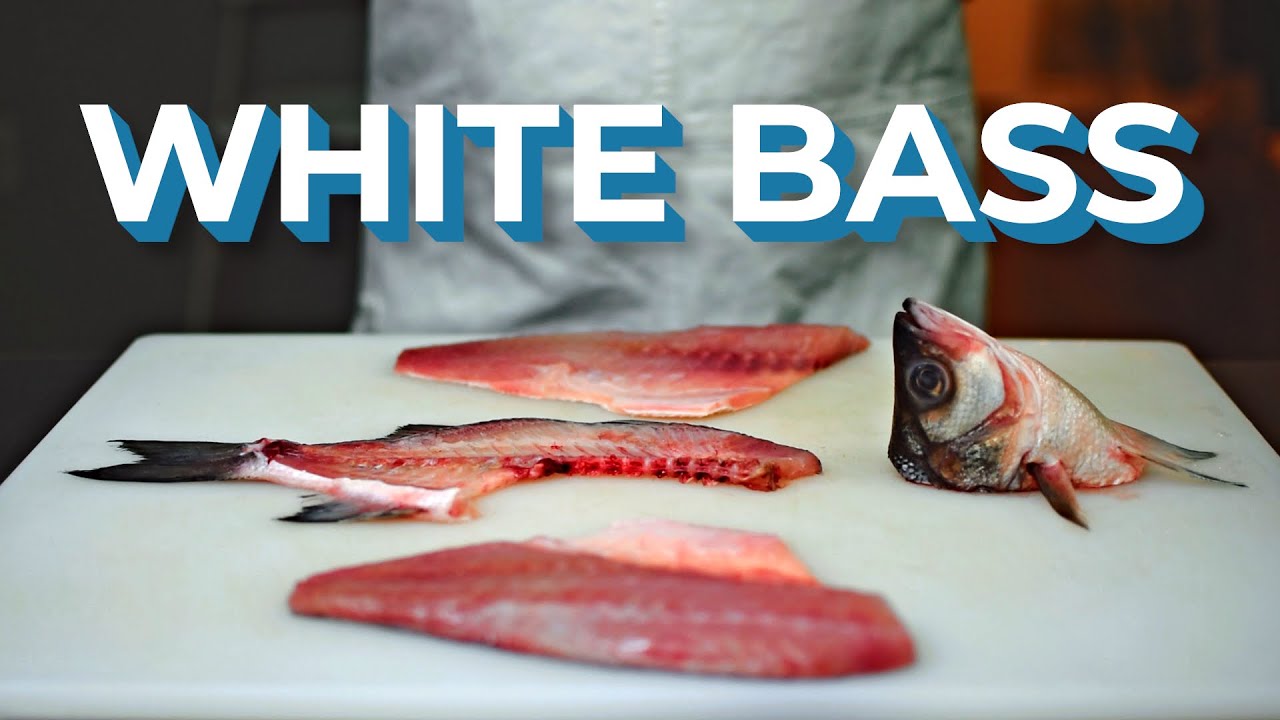 How to Fillet White Bass (Japanese Technique)