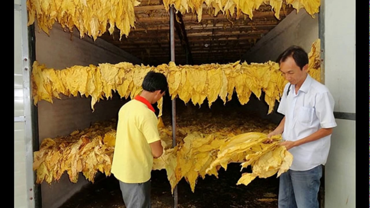 The Fresh Tobacco Leaf Dryer Machine