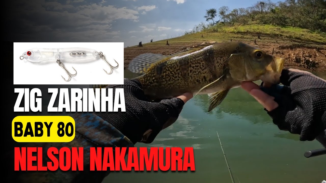 Zig Zarinha Baby 80 - Nelson Nakamura (Pescaria)