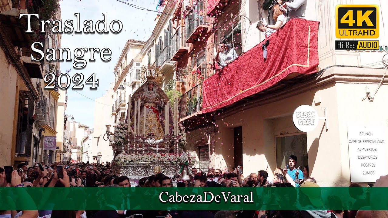 TRASLADO SANGRE C/OLLERIAS PETALADA MÁLAGA 2024