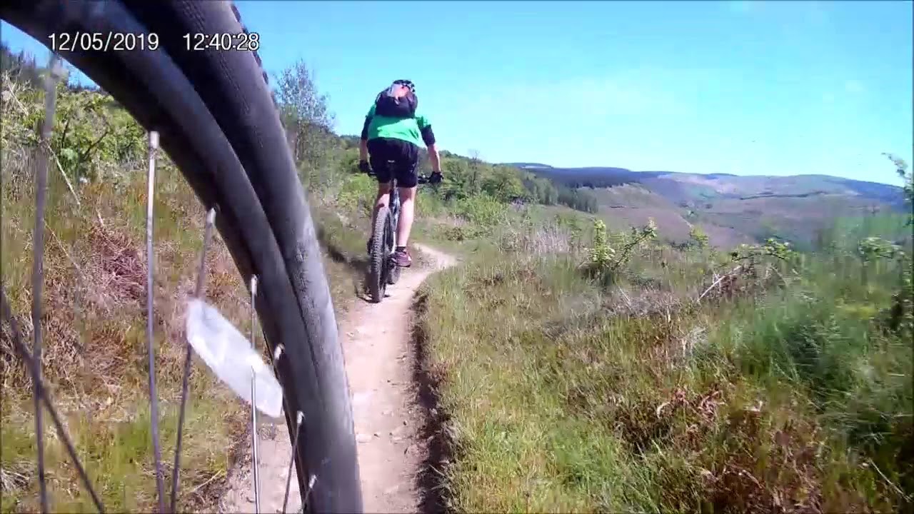 AFAN FOREST  - Y WAL