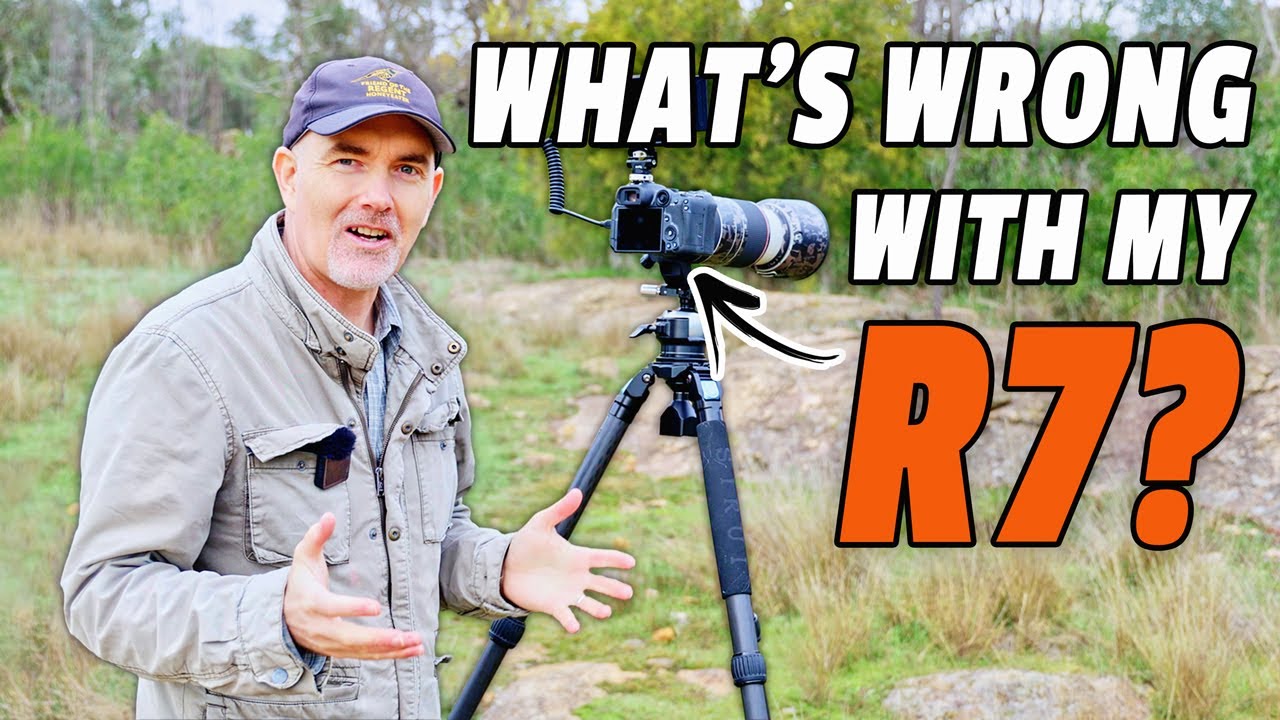 CANON R7 AUTOFOCUS WOES, ANY IDEAS?