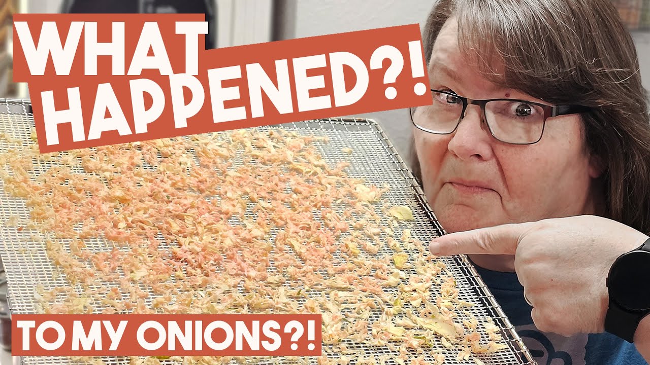 Why Do Onions Turn Color?! Dehydrating Onion Tidbit!