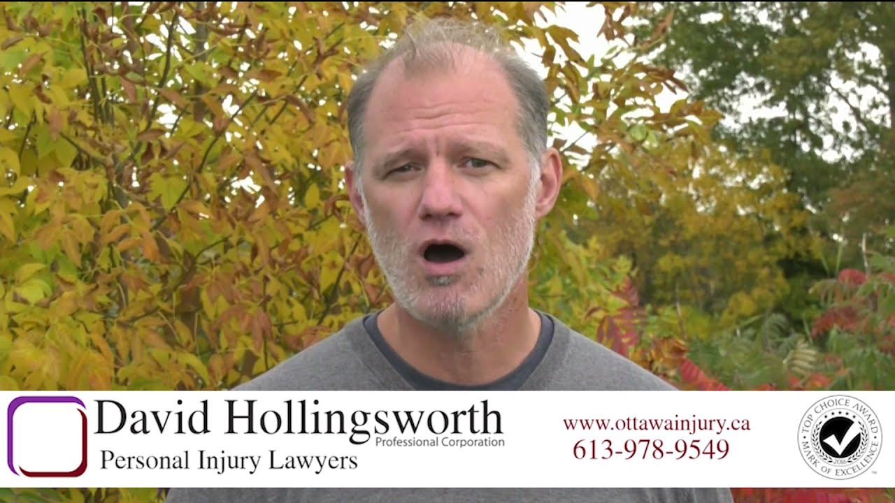Dog Attack Liability